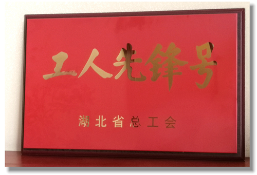 股份公司磷銨分廠磷酸三班喜獲湖北省“工人先鋒號”榮譽(yù)稱號(圖1)